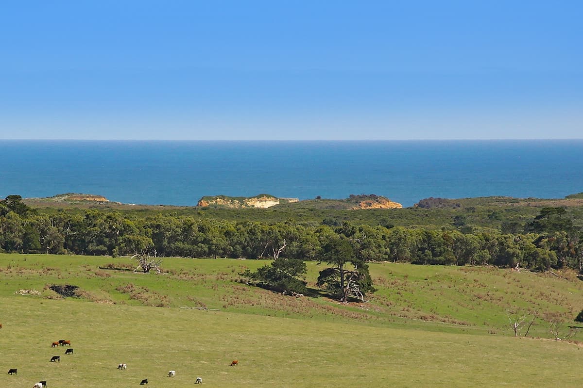 Lochs Road, Port Campbell, VIC, Port Campbell - Thumbnail 4