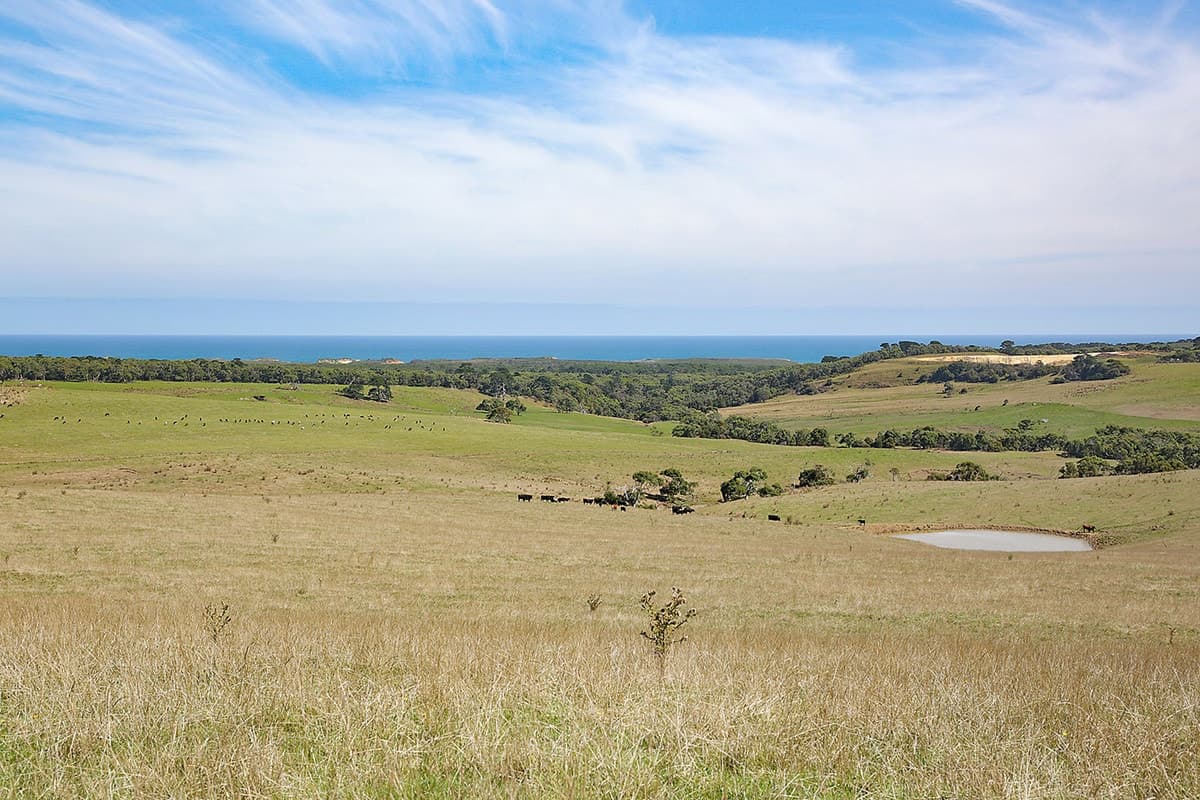 Lochs Road, Port Campbell, VIC, Port Campbell - Thumbnail 5