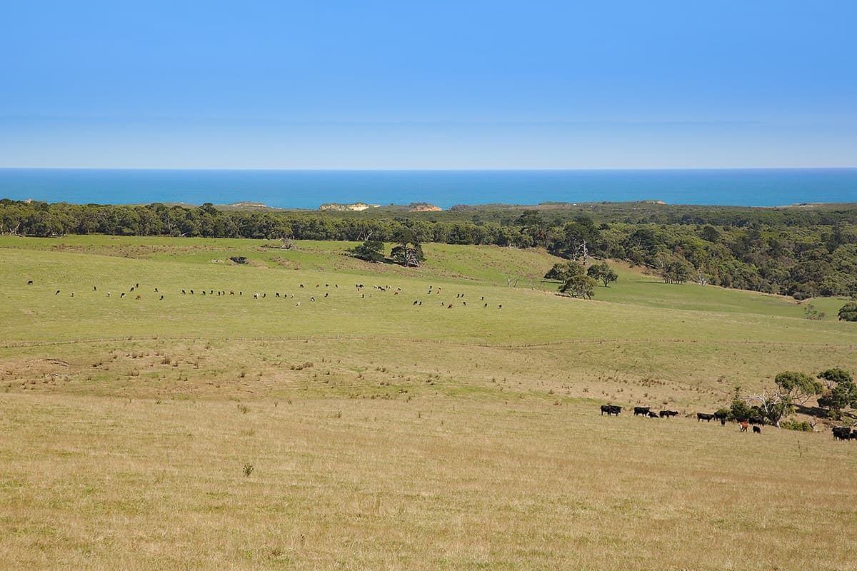 Lochs Road, Port Campbell, VIC, Port Campbell - Thumbnail 6