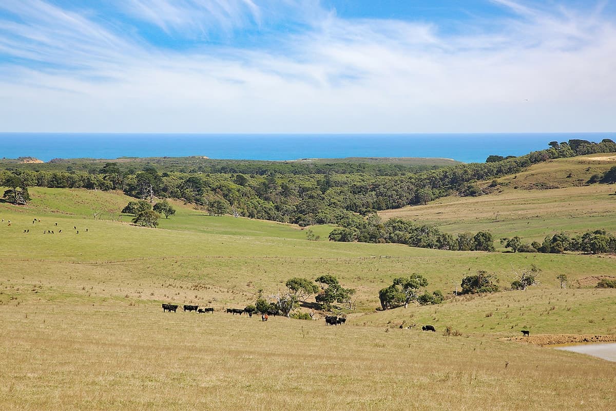 Lochs Road, Port Campbell, VIC, Port Campbell - Thumbnail 7