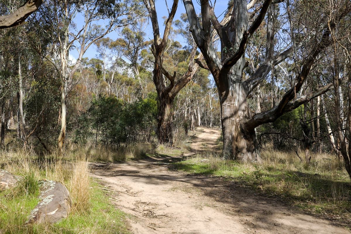 Sharp Road, Meredith, VIC, Meredith - Thumbnail 4