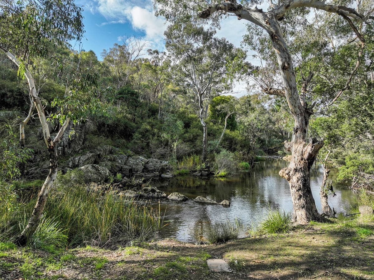 Sharp Road, Meredith, VIC, Meredith - Thumbnail 5