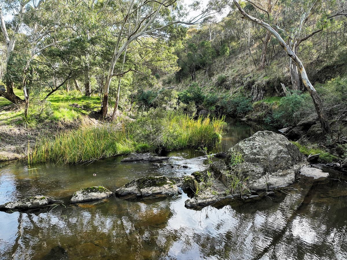 Sharp Road, Meredith, VIC, Meredith - Thumbnail 8