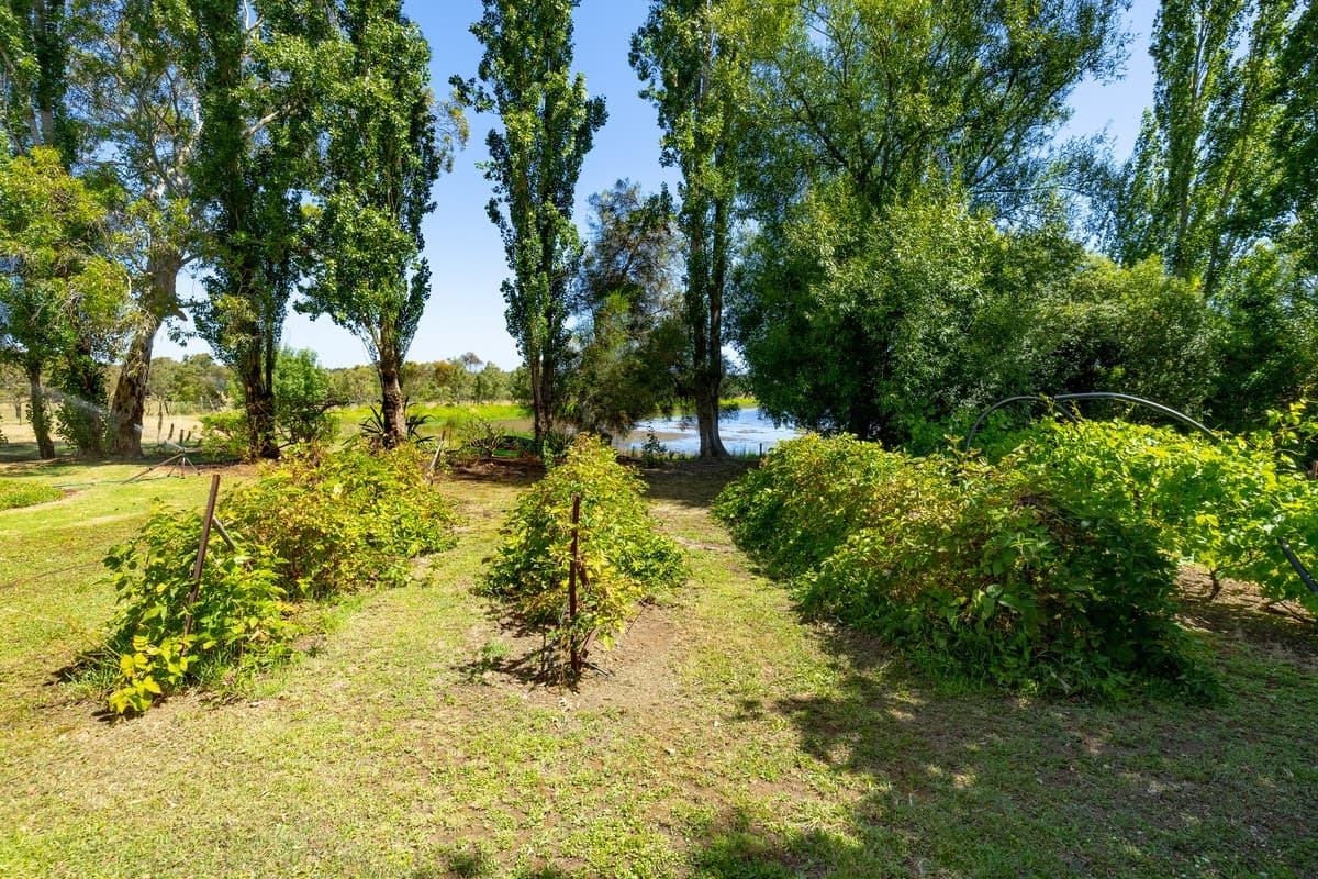 464 Milltown Mission Road, Heywood, VIC, Heywood - Thumbnail 7