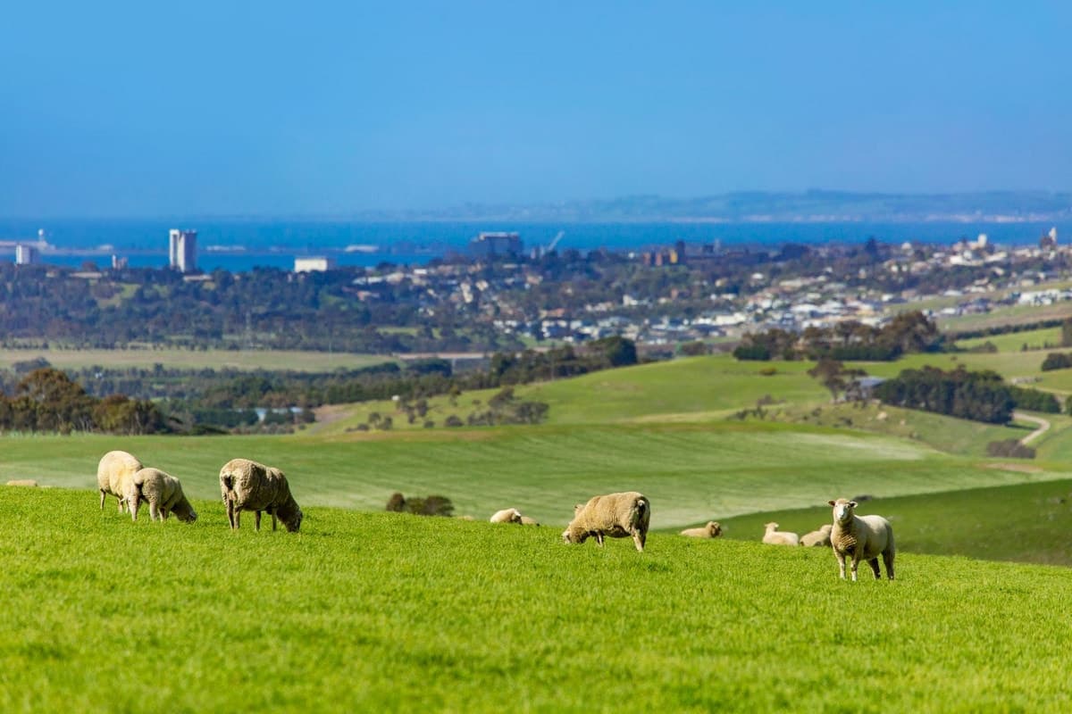 960 Barrabool Road, Barrabool, VIC, Barrabool - Thumbnail 4