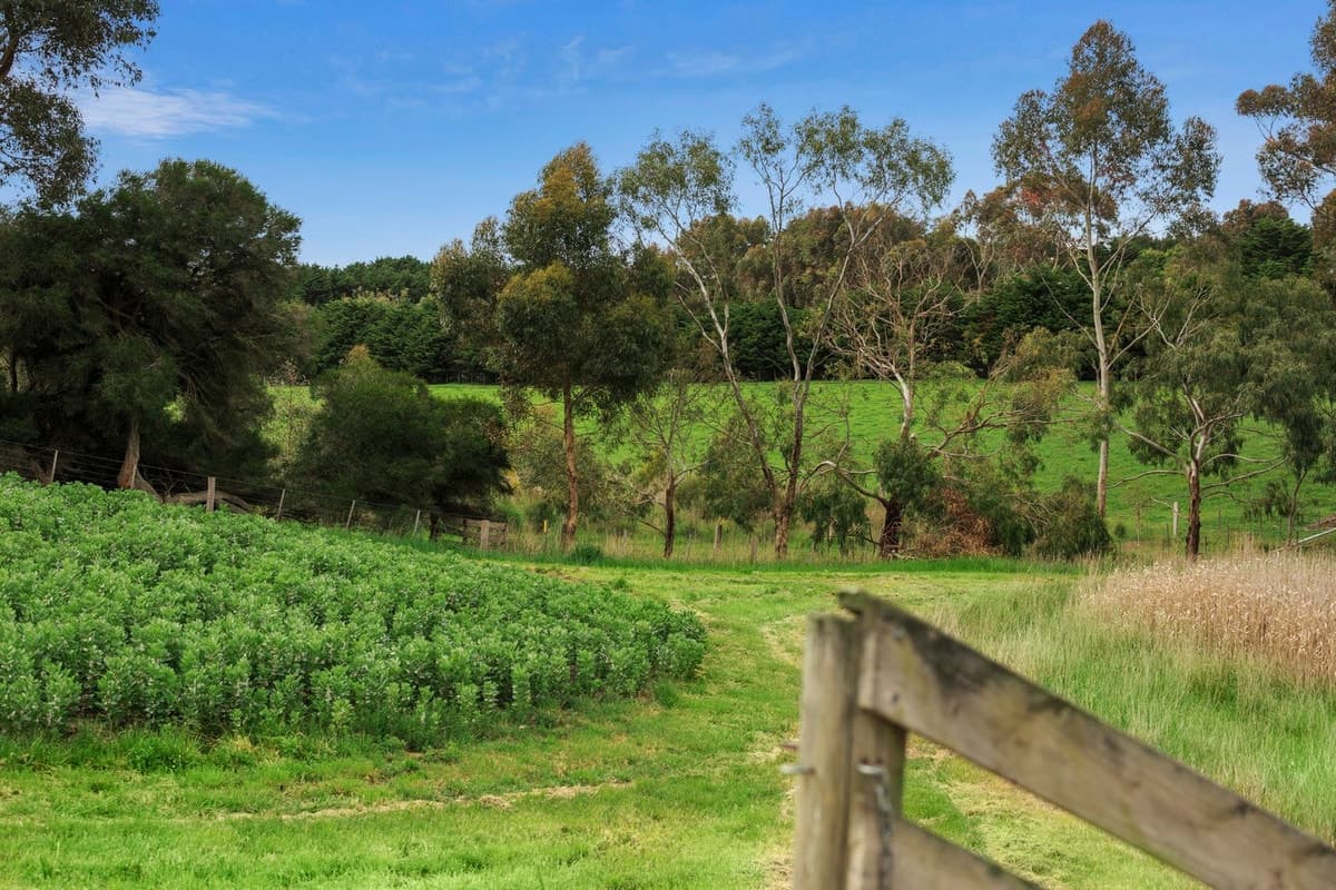 Barrabool Road, Barrabool, VIC, Barrabool - Thumbnail 5