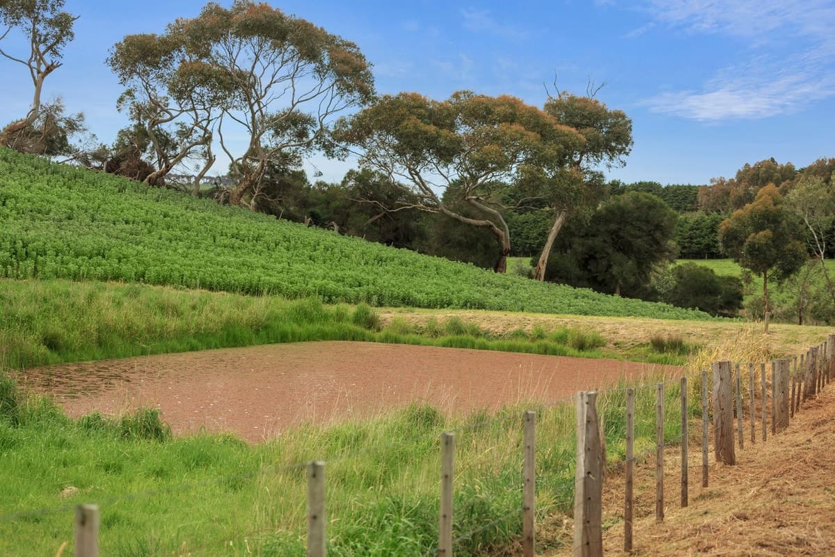 Barrabool Road, Barrabool, VIC, Barrabool - Thumbnail 6