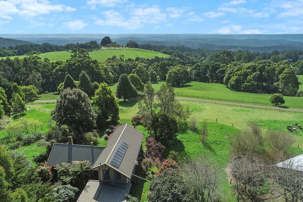 3695 Colac - Lavers Hill Road, Ferguson, VIC, Ferguson - Image 1