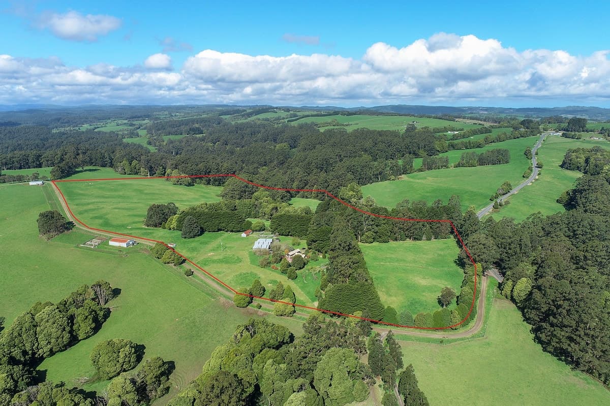 3695 Colac - Lavers Hill Road, Ferguson, VIC, Ferguson - Thumbnail 2