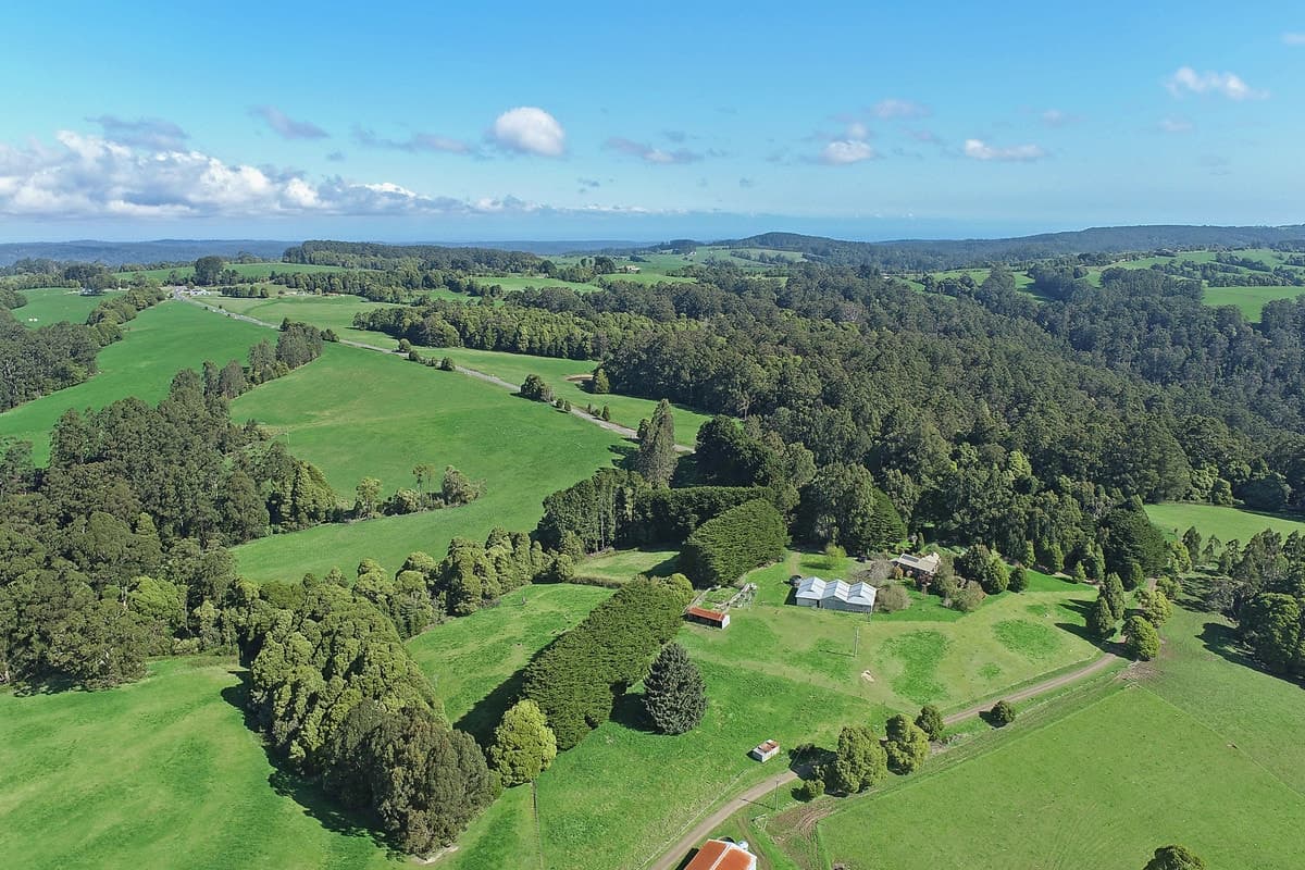 3695 Colac - Lavers Hill Road, Ferguson, VIC, Ferguson - Thumbnail 4
