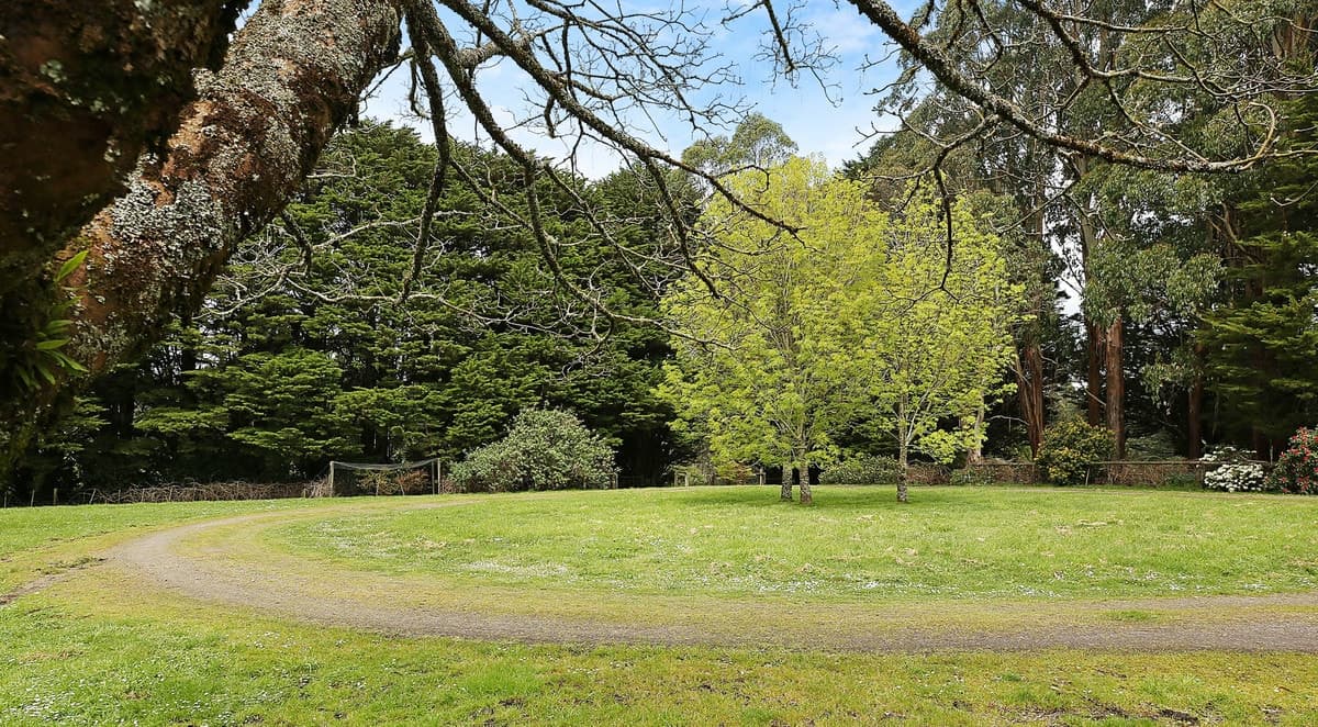 3695 Colac - Lavers Hill Road, Ferguson, VIC, Ferguson - Thumbnail 5