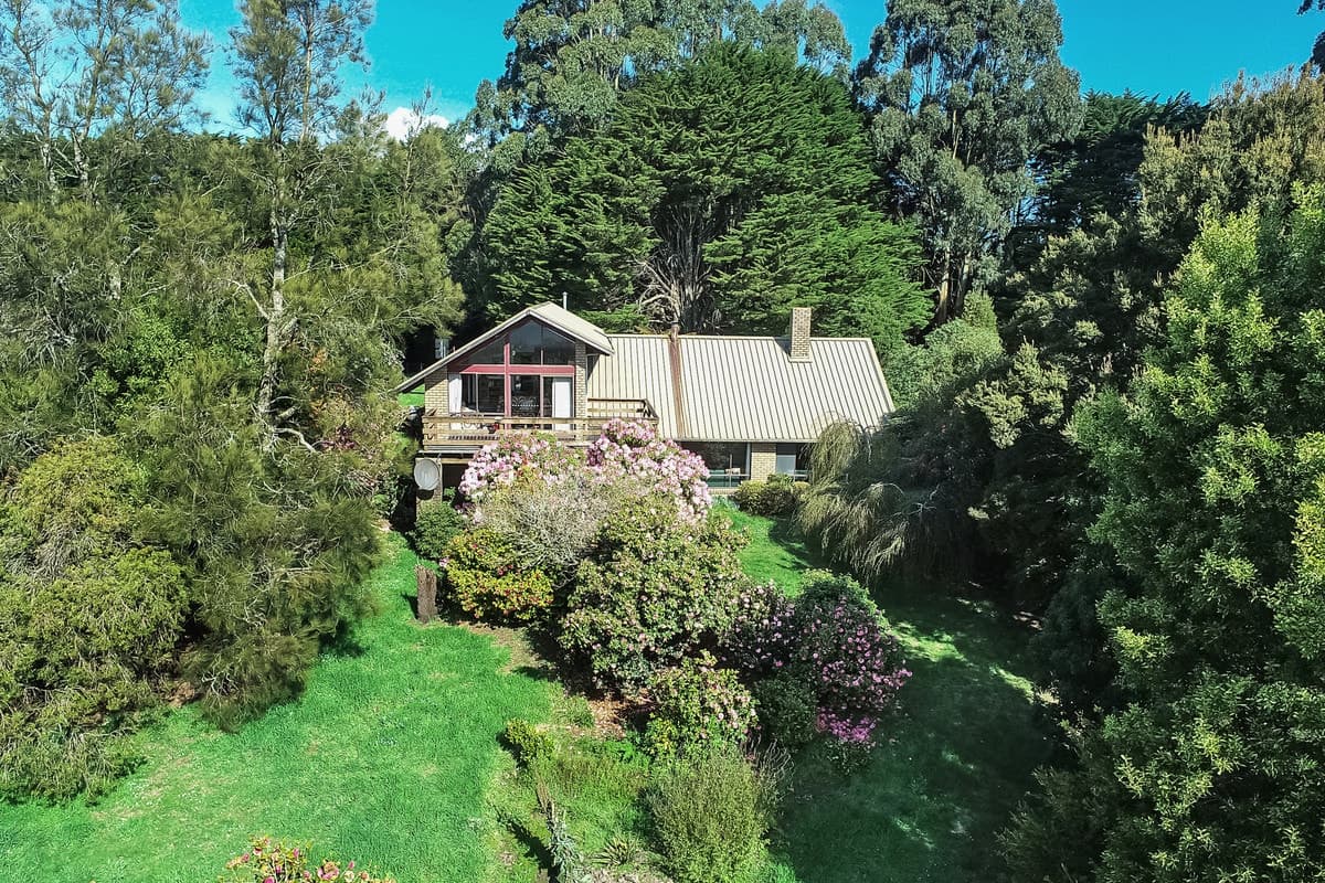 3695 Colac - Lavers Hill Road, Ferguson, VIC, Ferguson - Thumbnail 6