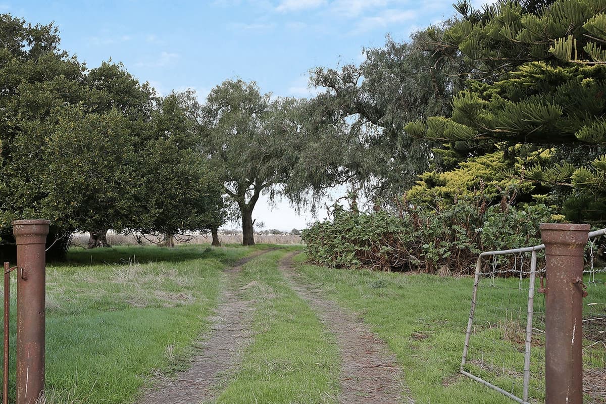 660 Warrowie Road, Irrewarra, VIC, Irrewarra - Thumbnail 3