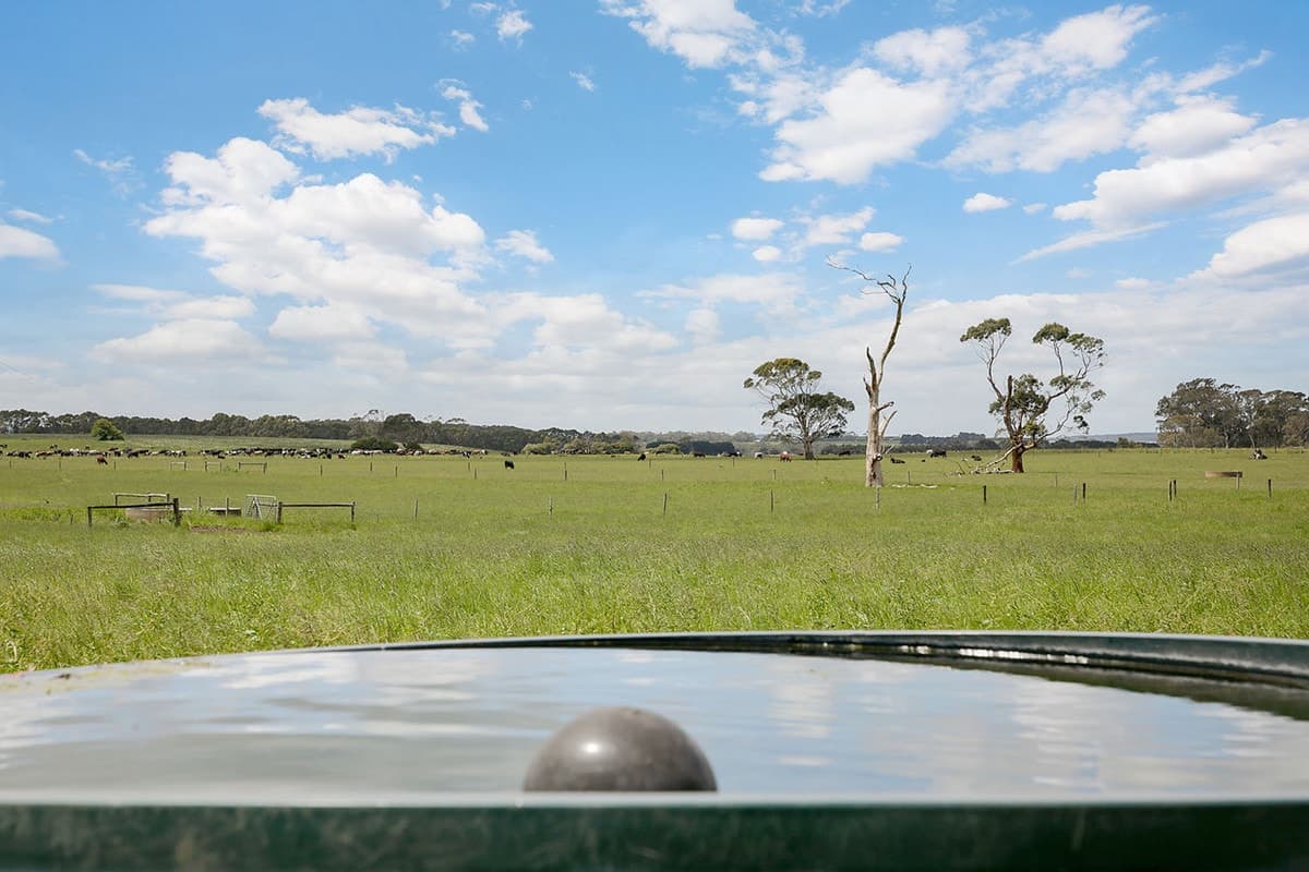 1500 Cobden-Warrnambool Road, Ecklin South, VIC, Ecklin South - Thumbnail 5