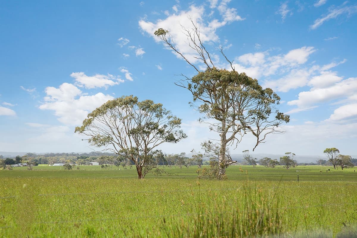 1500 Cobden-Warrnambool Road, Ecklin South, VIC, Ecklin South - Thumbnail 6