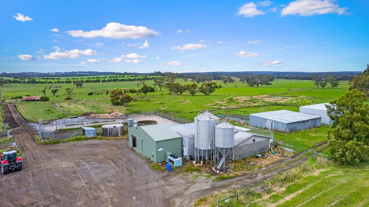 1525 Irrewillipe Road, Irrewillipe East, VIC, Irrewillipe East - Thumbnail 2