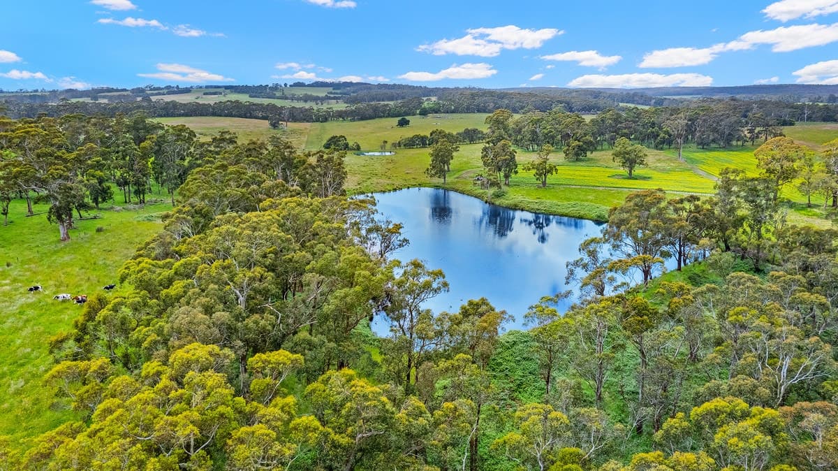 1525 Irrewillipe Road, Irrewillipe East, VIC, Irrewillipe East - Thumbnail 6