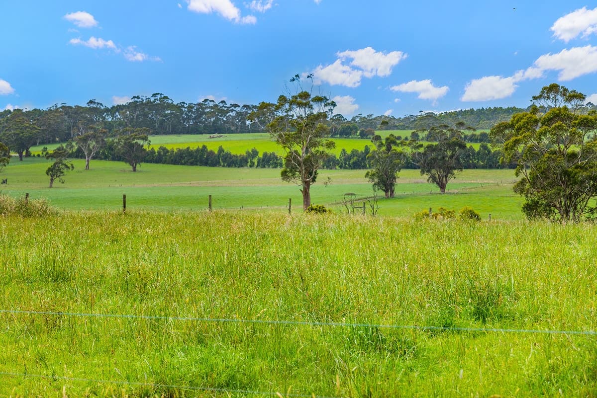 1525 Irrewillipe Road, Irrewillipe East, VIC, Irrewillipe East - Thumbnail 7