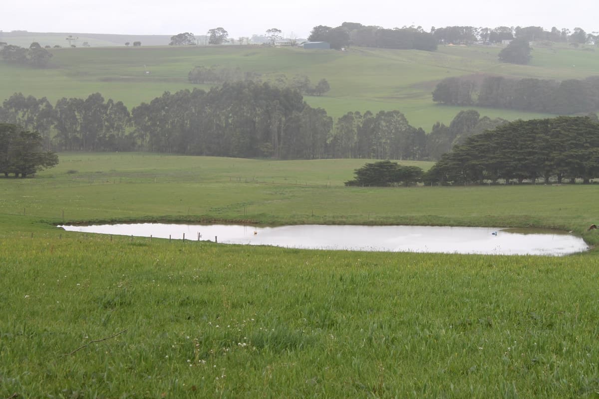 580 Williams Road, Scotts Creek, VIC, Scotts Creek - Thumbnail 4
