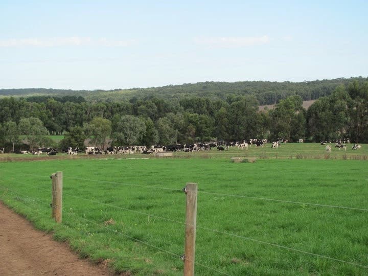 580 Williams Road, Scotts Creek, VIC, Scotts Creek - Thumbnail 5