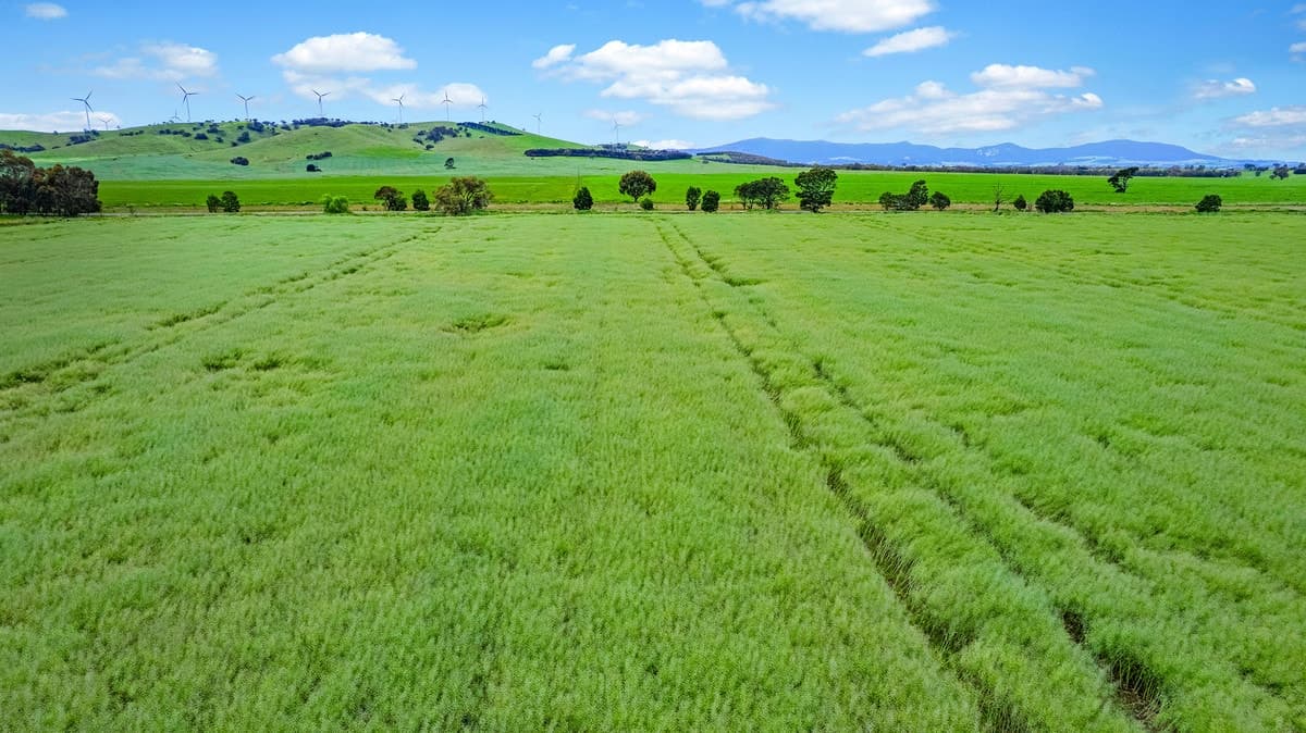 Dyers Road, Ballyrogan, VIC, Ballyrogan - Image 1