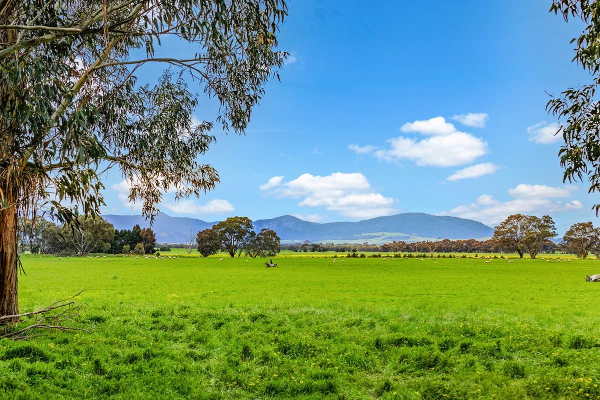 Dyers Road, Ballyrogan, VIC, Ballyrogan - Thumbnail 6