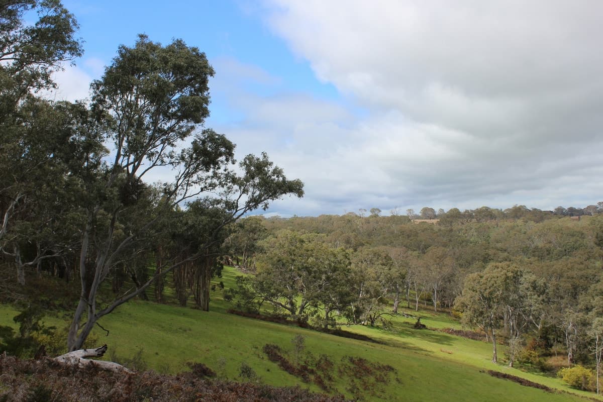 44A Gray Street, Hamilton, VIC, Hamilton - Thumbnail 2