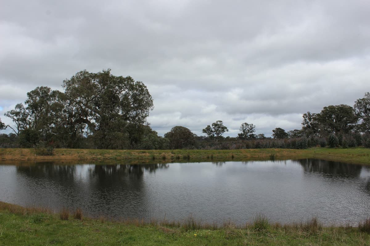 44A Gray Street, Hamilton, VIC, Hamilton - Thumbnail 6