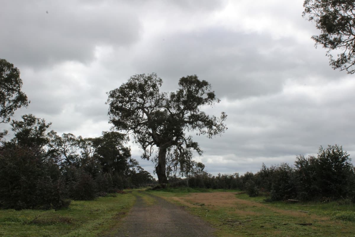 44A Gray Street, Hamilton, VIC, Hamilton - Thumbnail 8
