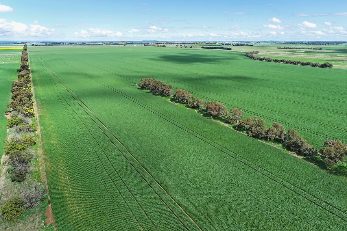 Potters Road, Cressy, VIC, Cressy - Image 1