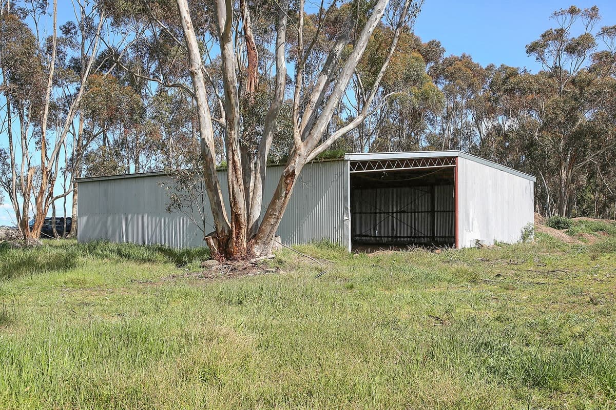 Potters Road, Cressy, VIC, Cressy - Thumbnail 7