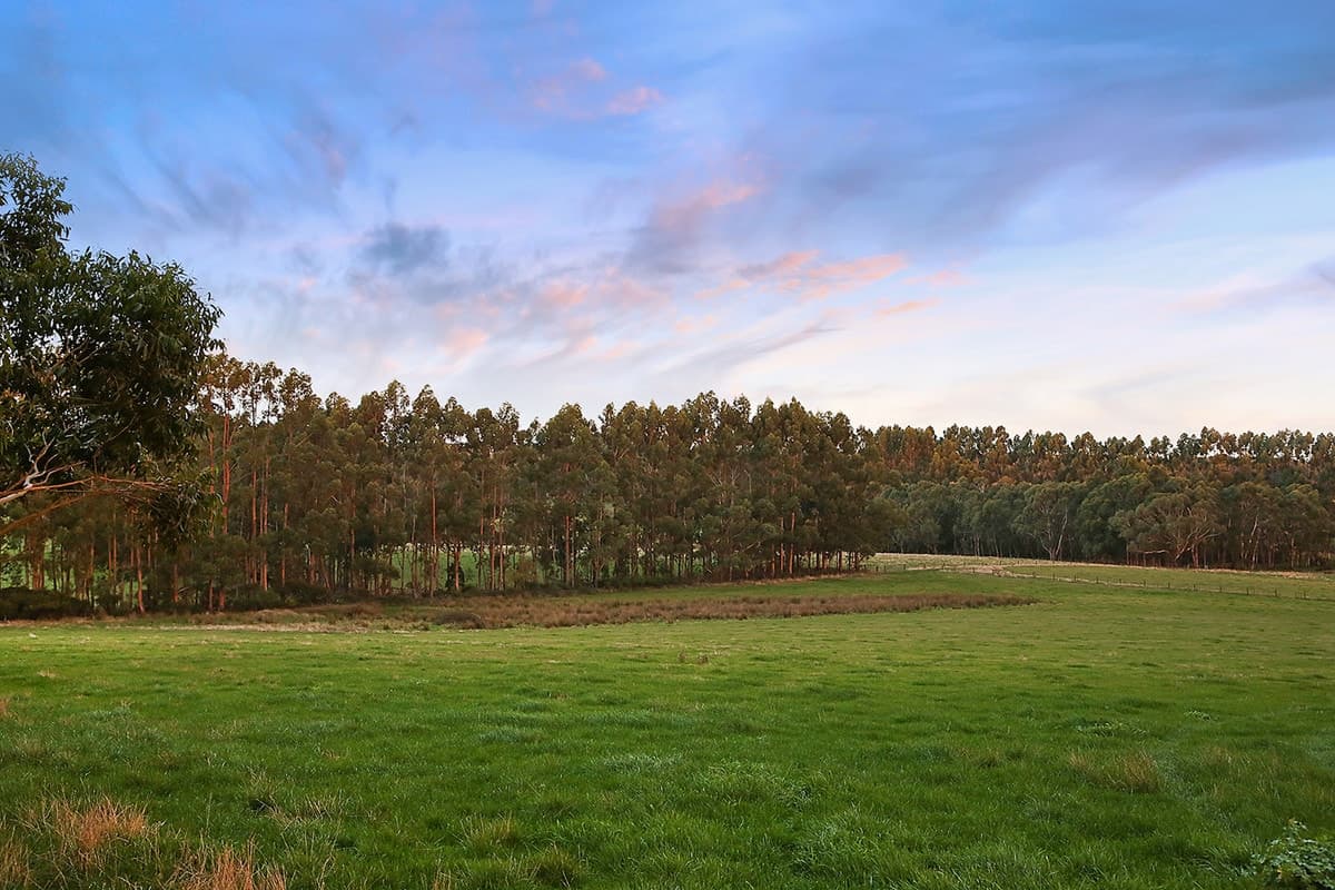 215 Barrys Road, Barongarook West, VIC, Barongarook West - Thumbnail 5