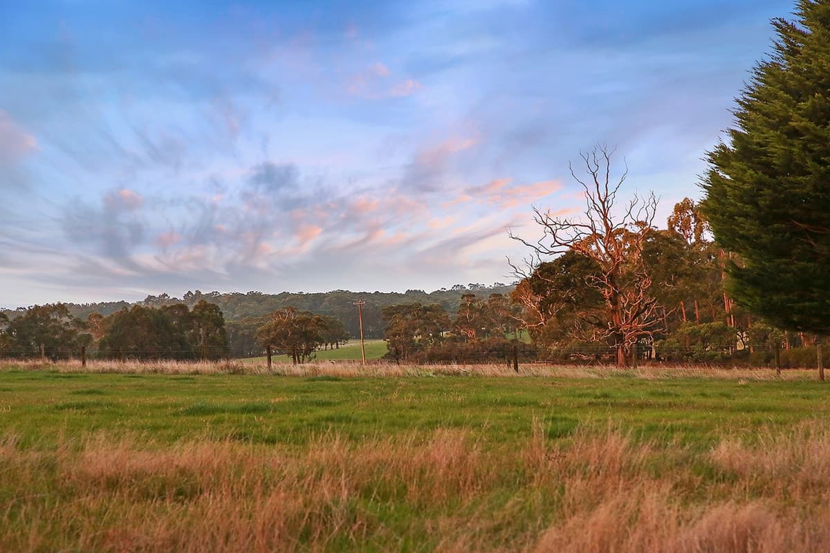 215 Barrys Road, Barongarook West, VIC, Barongarook West - Thumbnail 7