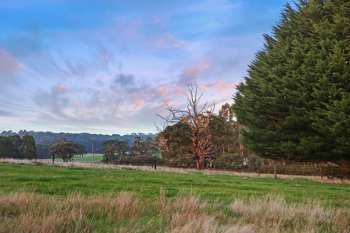 215 Barrys Road, Barongarook West, VIC, Barongarook West - Thumbnail 8