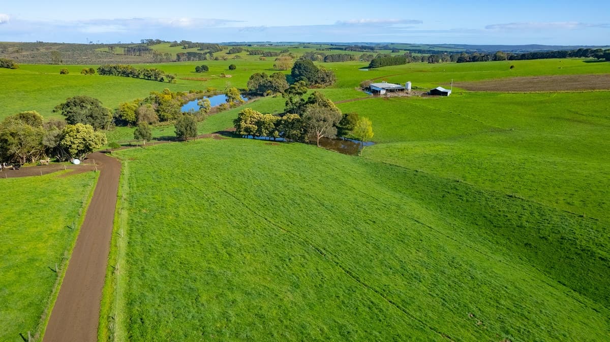 209 Turrong Road, Cooriemungle, VIC, Cooriemungle - Thumbnail 4
