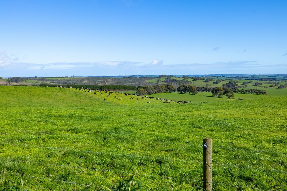 209 Turrong Road, Cooriemungle, VIC, Cooriemungle - Thumbnail 7
