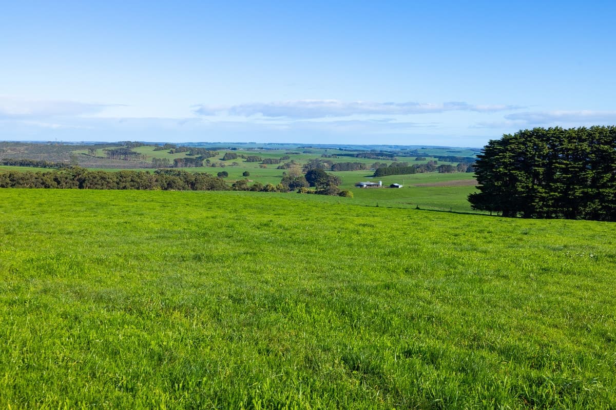 209 Turrong Road, Cooriemungle, VIC, Cooriemungle - Thumbnail 8