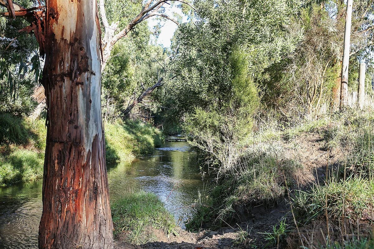 Silks Access Road, Carlisle River, VIC, Carlisle River - Image 1