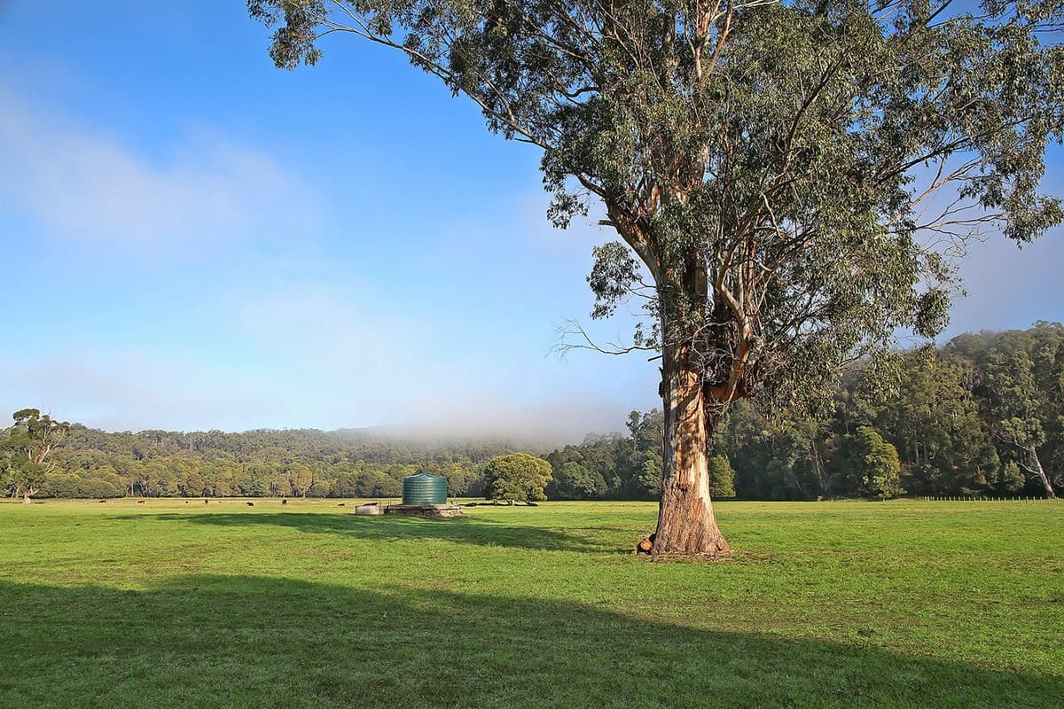Silks Access Road, Carlisle River, VIC, Carlisle River - Thumbnail 3
