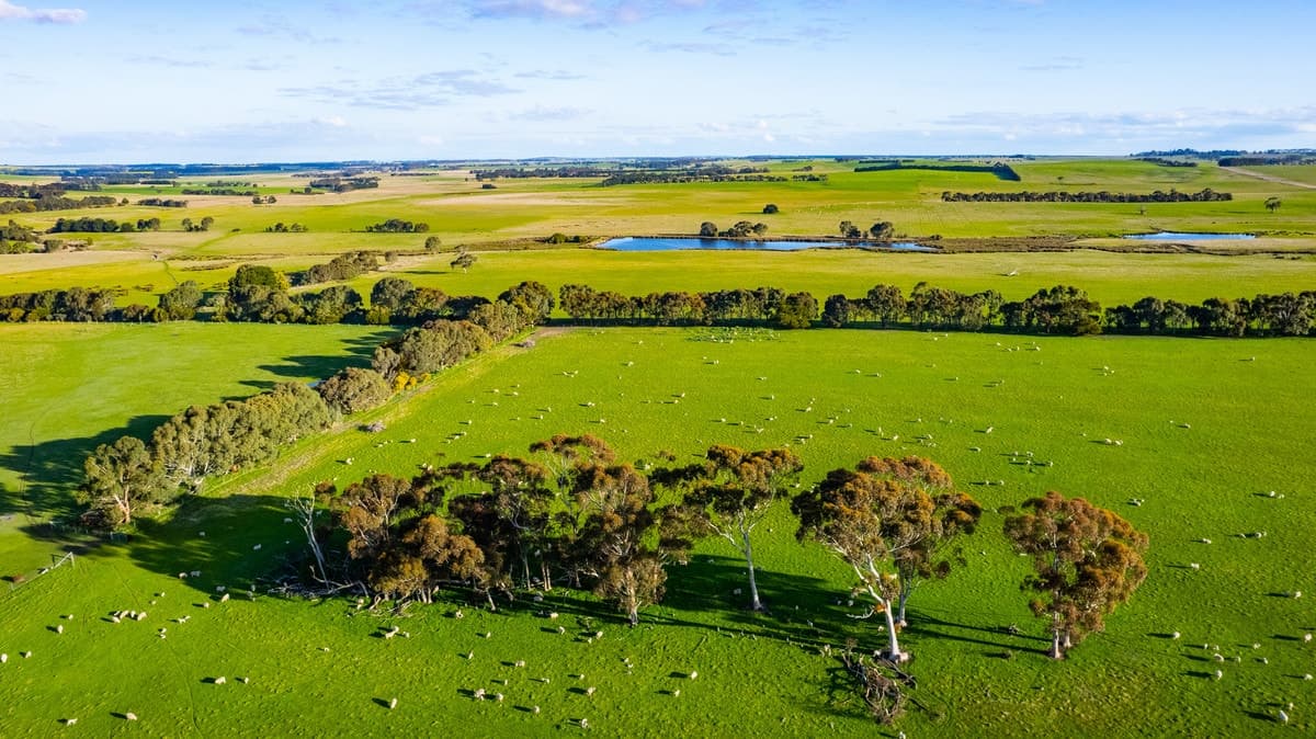 Lismore-Pittong Road, Pittong, VIC, Pittong - Thumbnail 4