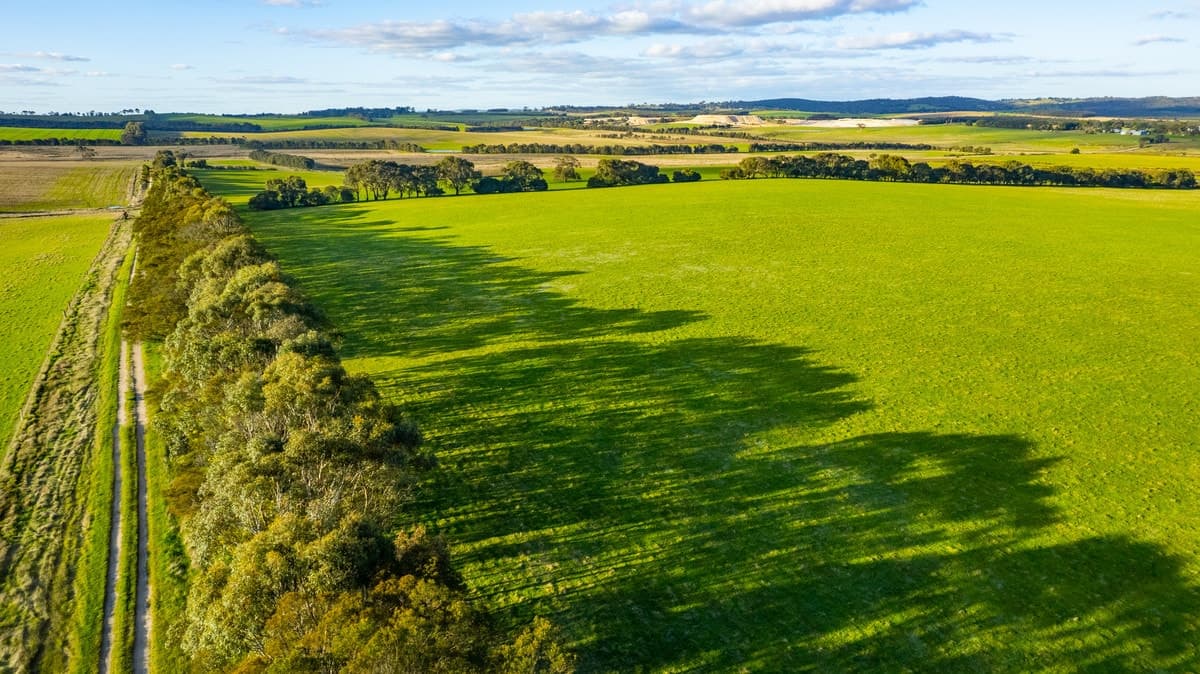 Lismore-Pittong Road, Pittong, VIC, Pittong - Thumbnail 5