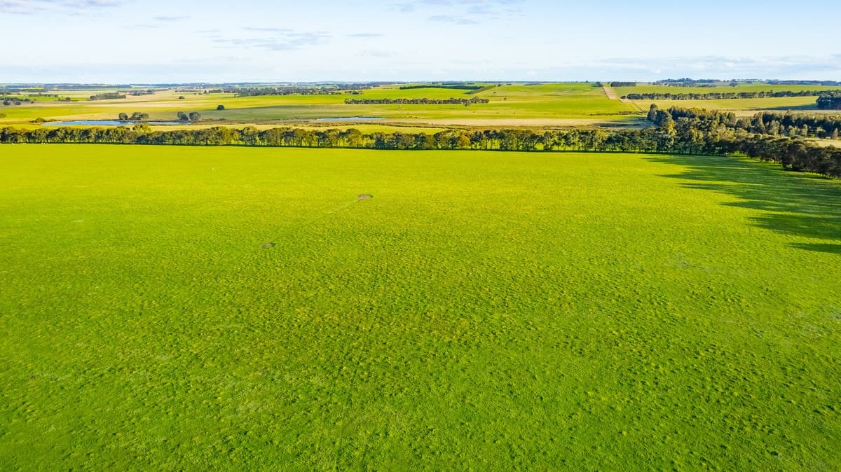 Lismore-Pittong Road, Pittong, VIC, Pittong - Thumbnail 6