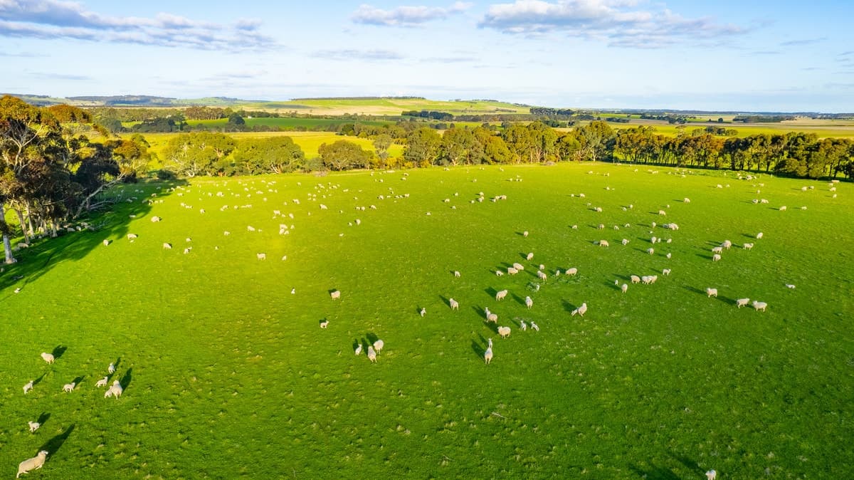 Lismore-Pittong Road, Pittong, VIC, Pittong - Thumbnail 7