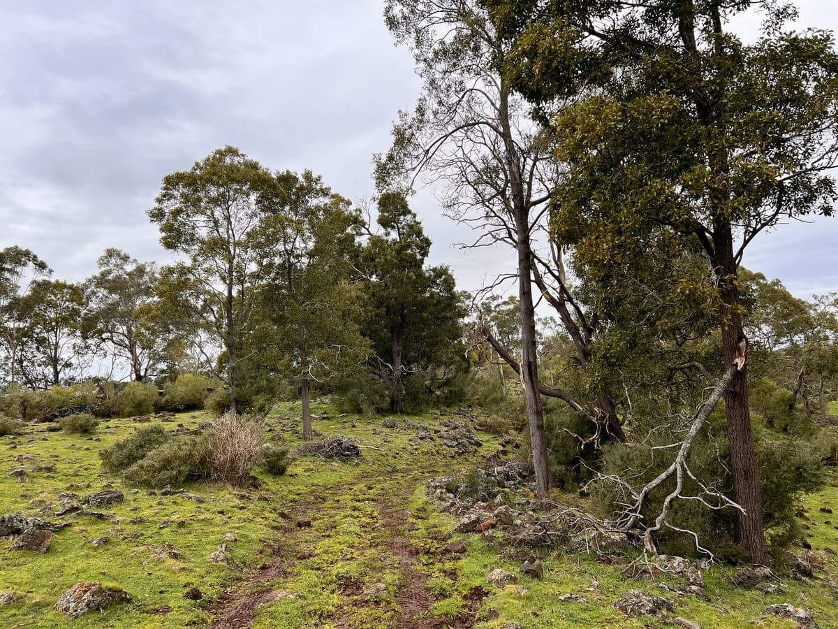 2090 Princes Highway, Pirron Yallock, VIC, Pirron Yallock - Thumbnail 4