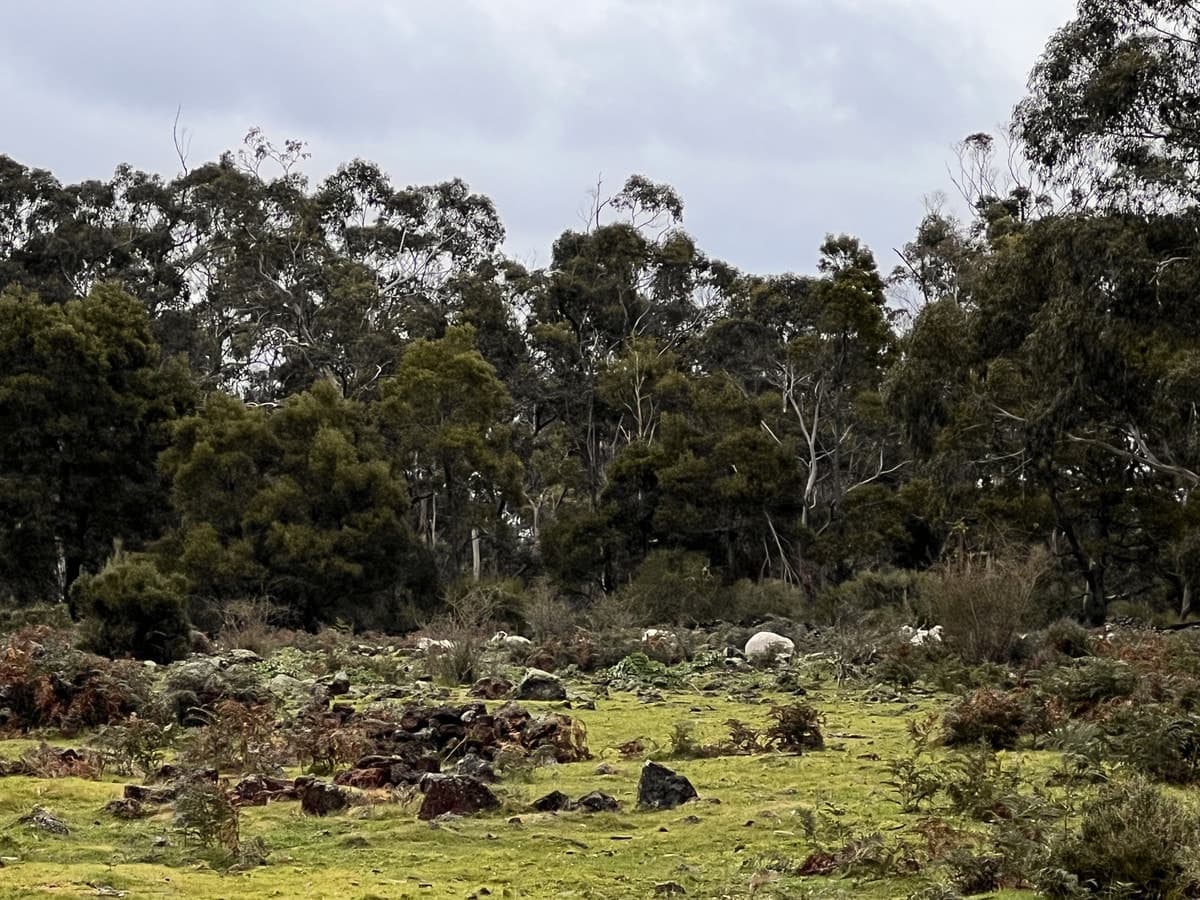 2090 Princes Highway, Pirron Yallock, VIC, Pirron Yallock - Thumbnail 5