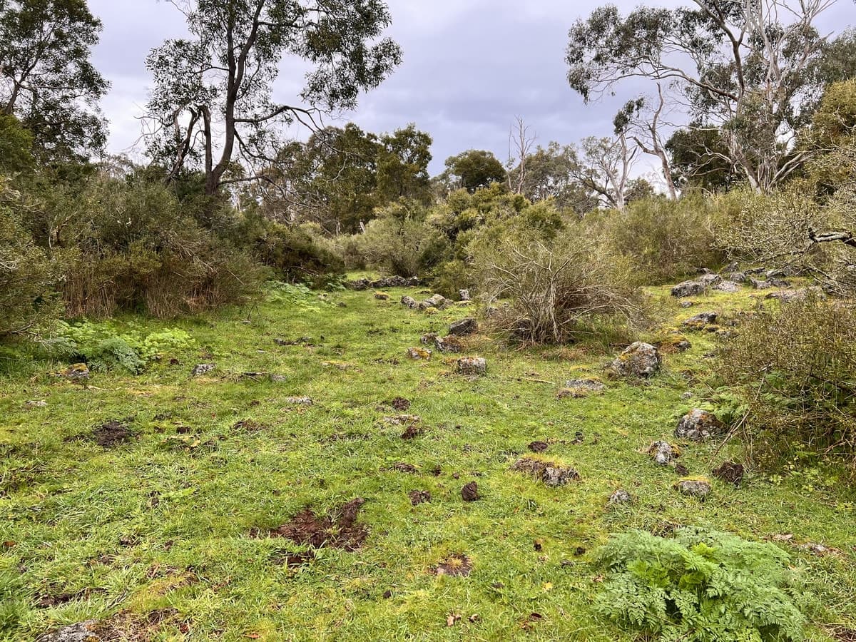 2090 Princes Highway, Pirron Yallock, VIC, Pirron Yallock - Thumbnail 6