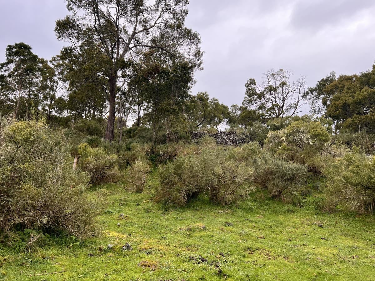 2090 Princes Highway, Pirron Yallock, VIC, Pirron Yallock - Thumbnail 7
