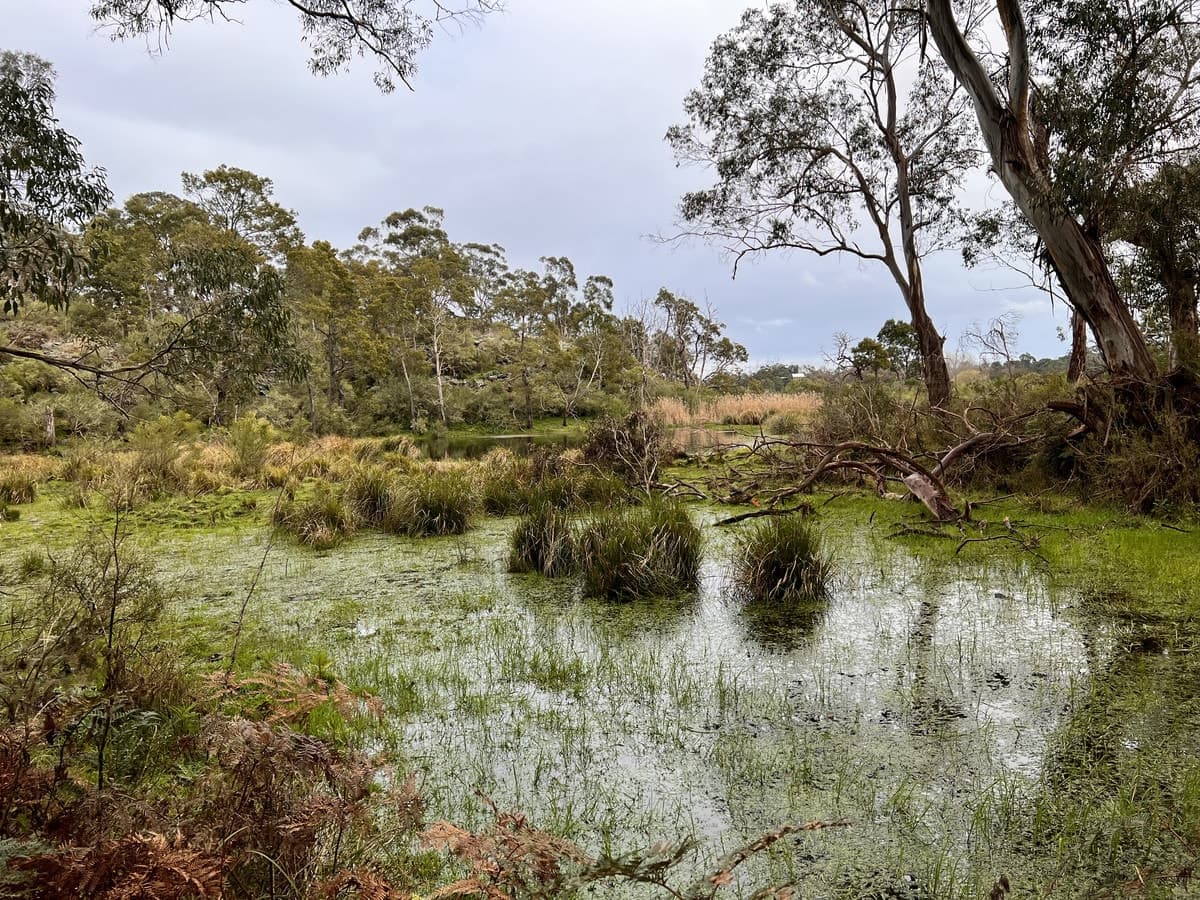 2090 Princes Highway, Pirron Yallock, VIC, Pirron Yallock - Thumbnail 8