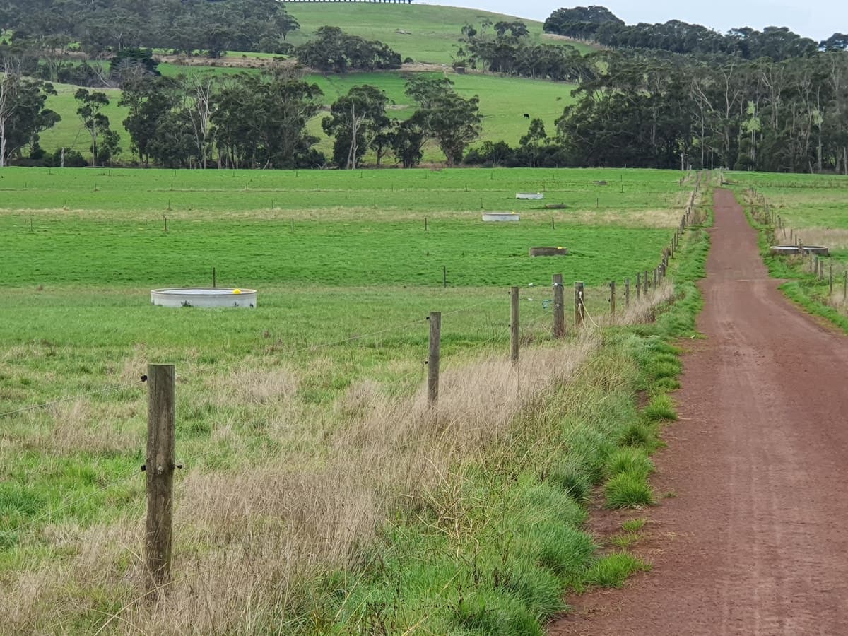 lot 2/251 Cooriemungle Road, Cooriemungle, VIC, Cooriemungle - Image 1