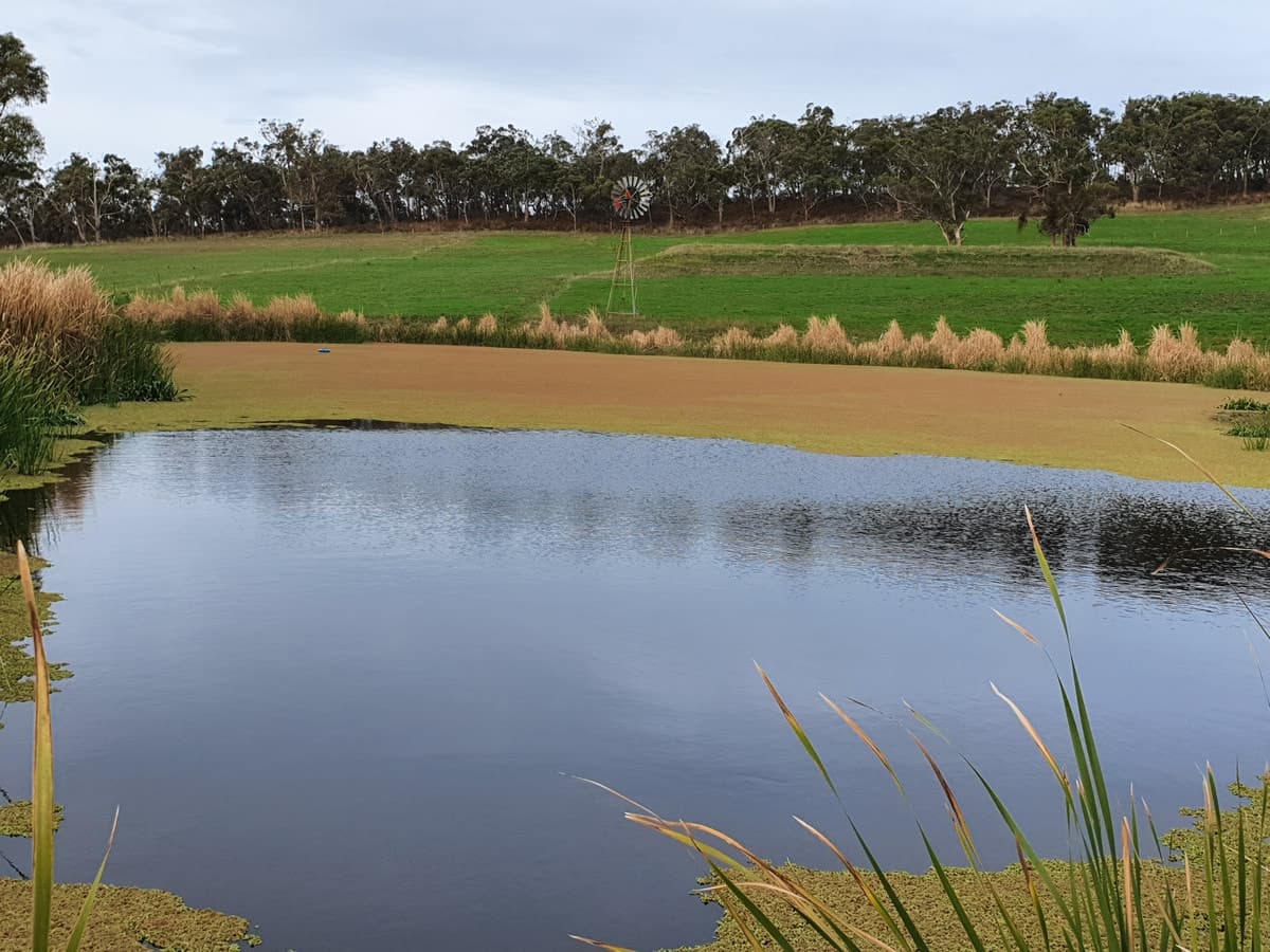 lot 2/251 Cooriemungle Road, Cooriemungle, VIC, Cooriemungle - Thumbnail 3
